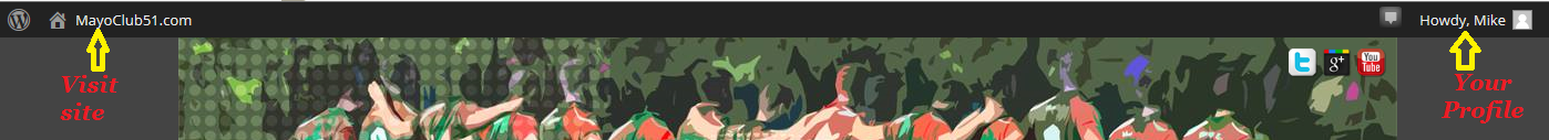 logged in header