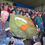 Roscommon v Mayo fan photos 2014