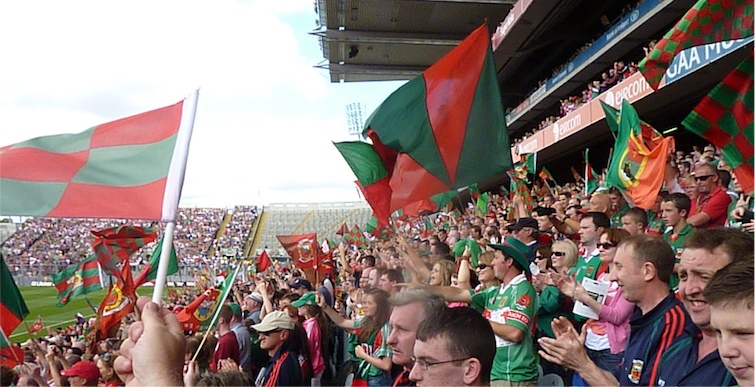Seaofgreenandred