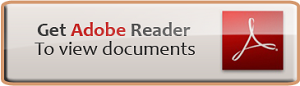 adobe reader icon