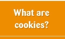 what are cookies