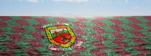 Mayo GAA looking ahead to 2015 - a sea of green and red